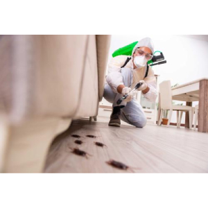 Image for Root Beer Capital Termite Experts with ID of: 5771284