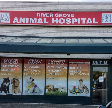 Image for River Grove Animal Hospital with ID of: 5772054