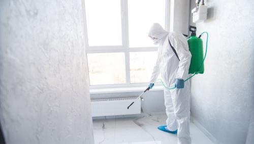 Image for Antioch Impeccable Mold Removal with ID of: 5774454
