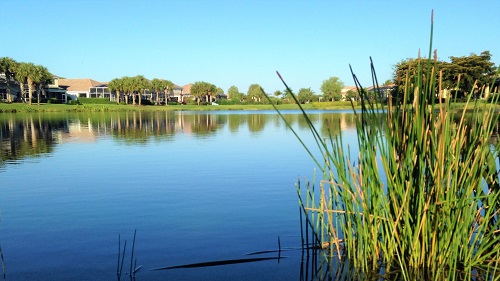Image for The Lake Doctors, Inc. with ID of: 5776189