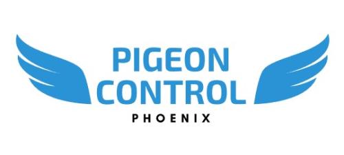 Image for Pigeon Control Phoenix with ID of: 4376354