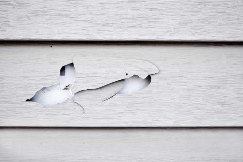 Image for Soda City Siding Experts with ID of: 5780729
