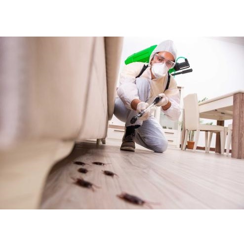 Image for Watertown Pest Control Solutions with ID of: 5780753