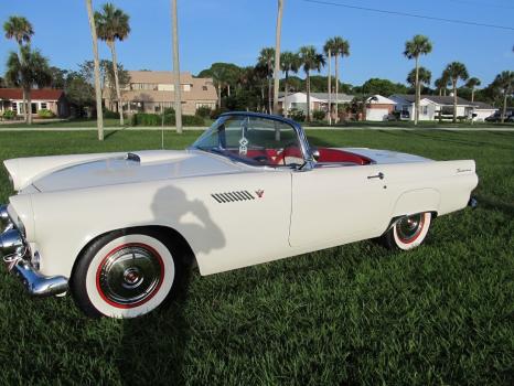 Image for Ormond Beach Professional Auto Detailing and Ceramic Coating Specialist with ID of: 5788920