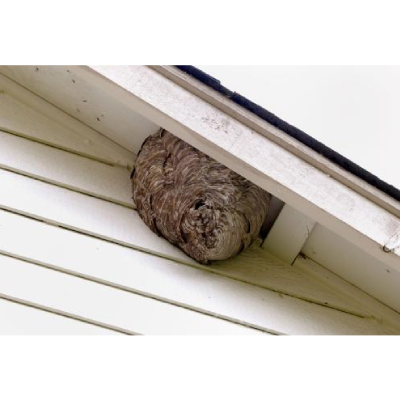 Image for Antelope Valley Pest Services with ID of: 5789154