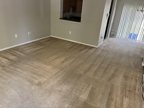 Image for Zerorez Carpet, Rug, & Tile Cleaning DC Metro with ID of: 5789340