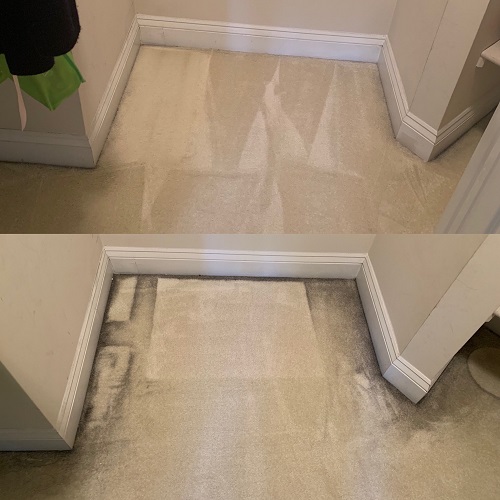 Image for Zerorez Carpet, Rug, & Tile Cleaning DC Metro with ID of: 5789360