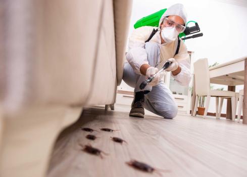 Image for Deep Blue Pest Control with ID of: 5790118