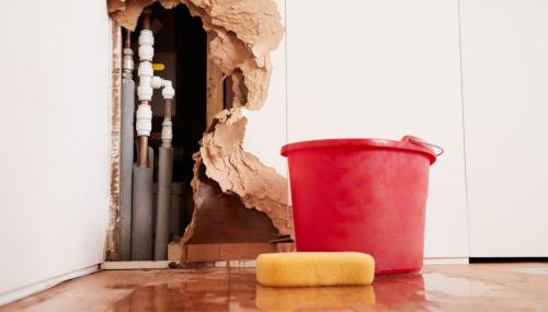 Image for AllStar Water Damage Solano County with ID of: 5790302