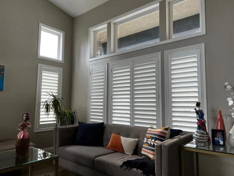 Image for Purrfect Shutters with ID of: 5790789