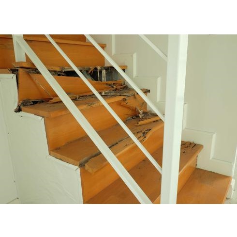 Image for Opelika Termite Control Pro with ID of: 5791322