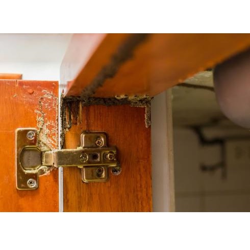 Image for Opelika Termite Control Pro with ID of: 5791328