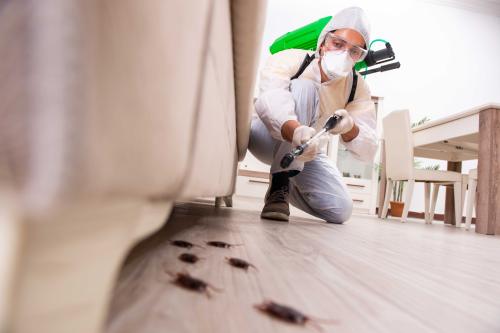 Image for Sun Valley Pest Services with ID of: 5793681