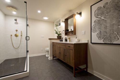 Image for Steiner Remodel with ID of: 5795182