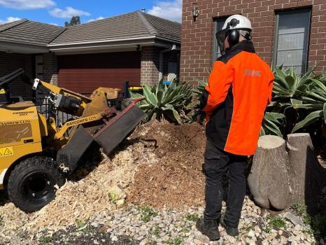 Image for Stump Grinding with ID of: 5795313