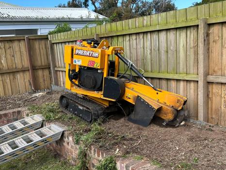 Image for Stump Grinding with ID of: 5795314