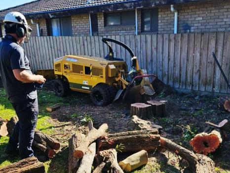 Image for Stump Grinding with ID of: 5795317