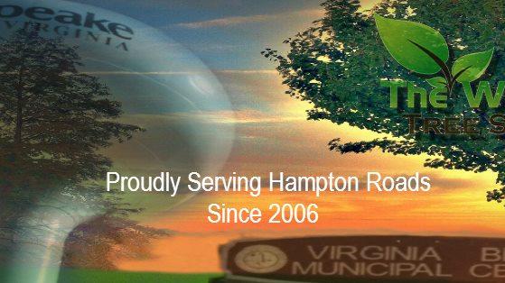 Image for The Whole 9 Tree Service with ID of: 5796365