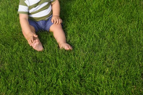 Image for Second Nature Lawn Care with ID of: 5799826