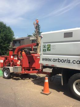 Image for Arboris Inc with ID of: 5800777