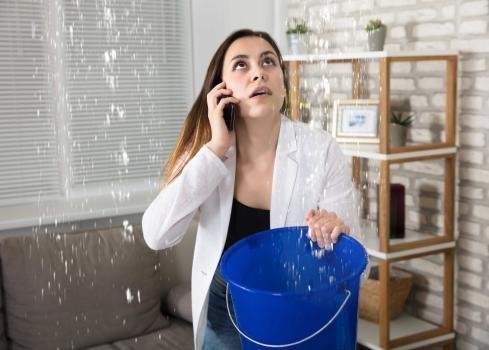 Image for Santa Clarita LA Mold Services with ID of: 5802492