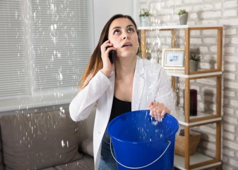 Image for Simi Valley Sunny Mold Removal with ID of: 5802938