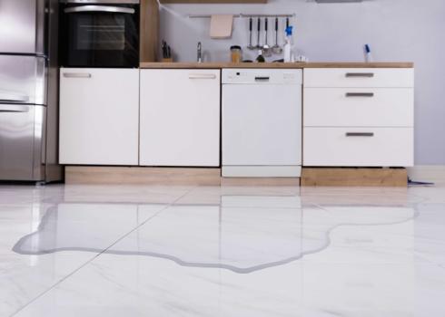 Image for Simi Valley Sunny Mold Removal with ID of: 5802940