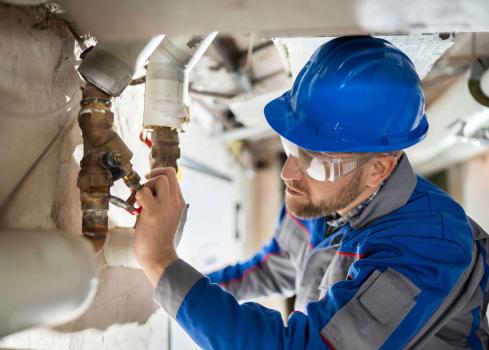 Image for Simi Valley Sunny Mold Removal with ID of: 5802942