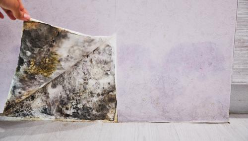Image for Kent County Mold with ID of: 5803397
