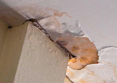 Image for Oly Water Damage Solutions with ID of: 5803448