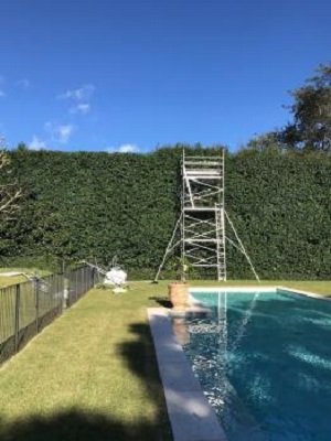 Image for All Tree Care with ID of: 5808316