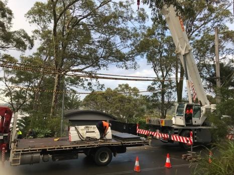 Image for All Tree Care with ID of: 5808320