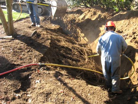 Image for Destito Tree Services with ID of: 5812364