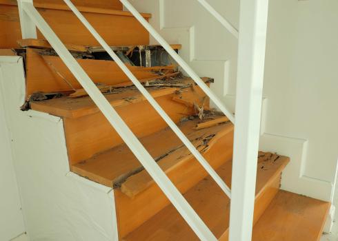 Image for Surprise Termite Control Pro with ID of: 5813180