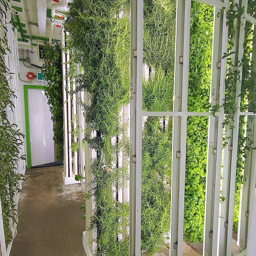 Image for NuLeaf Farms with ID of: 5815769