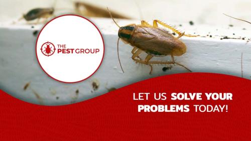 Image for The PEST Group with ID of: 5816653