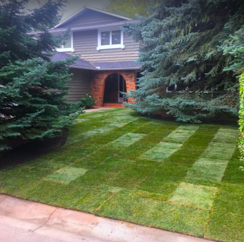 Image for Scott's Sod Sales & Installation Inc. with ID of: 5817468