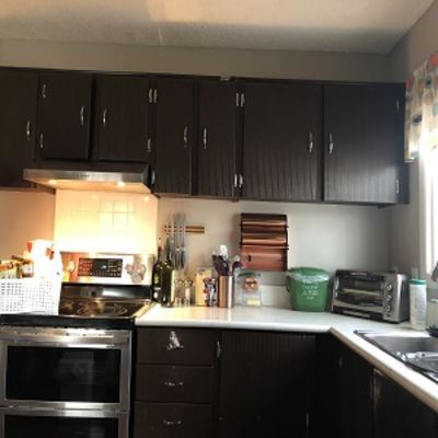 Image for Reface Magic with ID of: 5817621