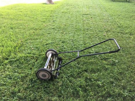 Image for Red Lab Lawn Care, LLC. with ID of: 5819490