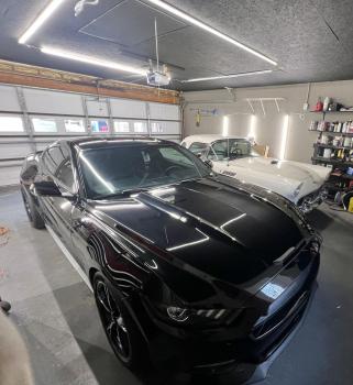 Image for Pure Liquid Car Spa with ID of: 5819582