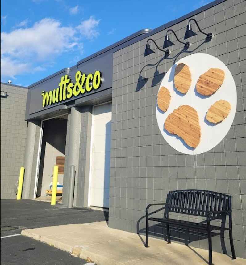Image for Mutts & Co. with ID of: 5819847