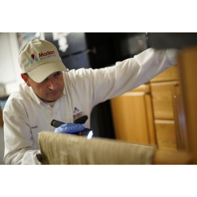 Image for Modern Pest Services with ID of: 5820402