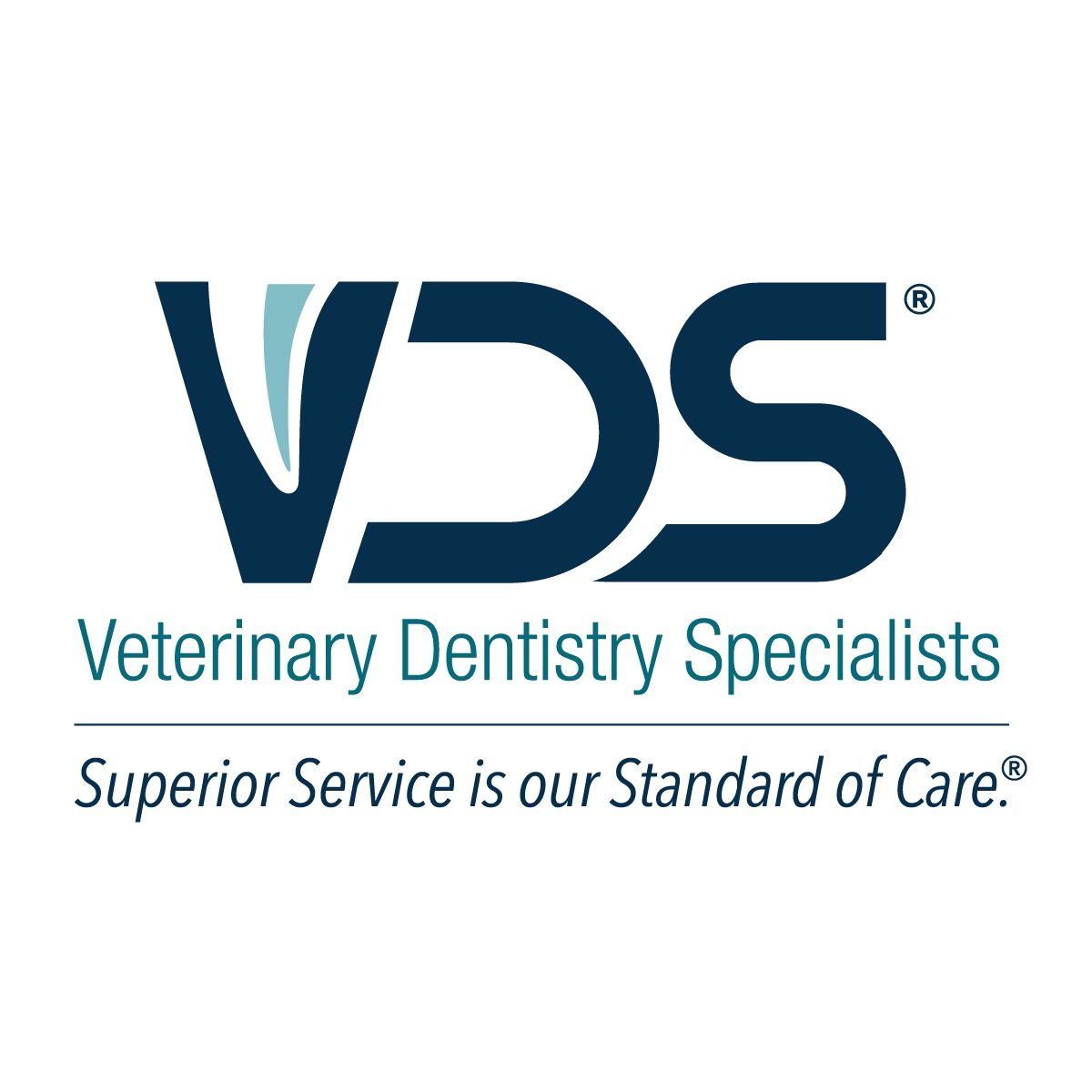 Image for Veterinary Dentistry Specialists with ID of: 6511828