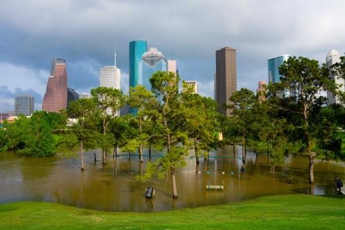Image for The Flood Insurance Guru with ID of: 5821138