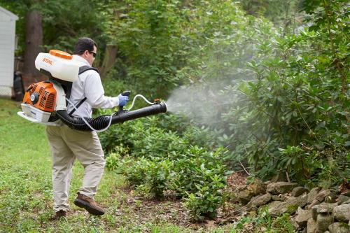 Image for Modern Pest Services with ID of: 5822307