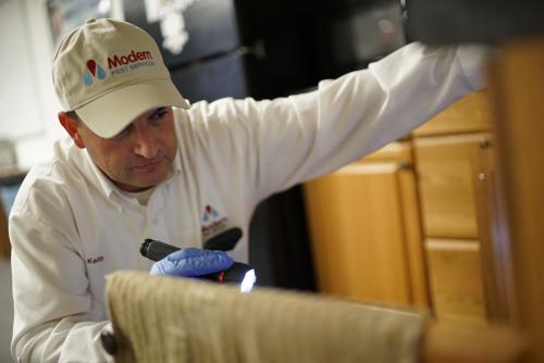 Image for Modern Pest Services with ID of: 5822313