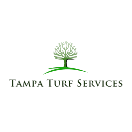 Image for Tampa Turf Services with ID of: 6513383