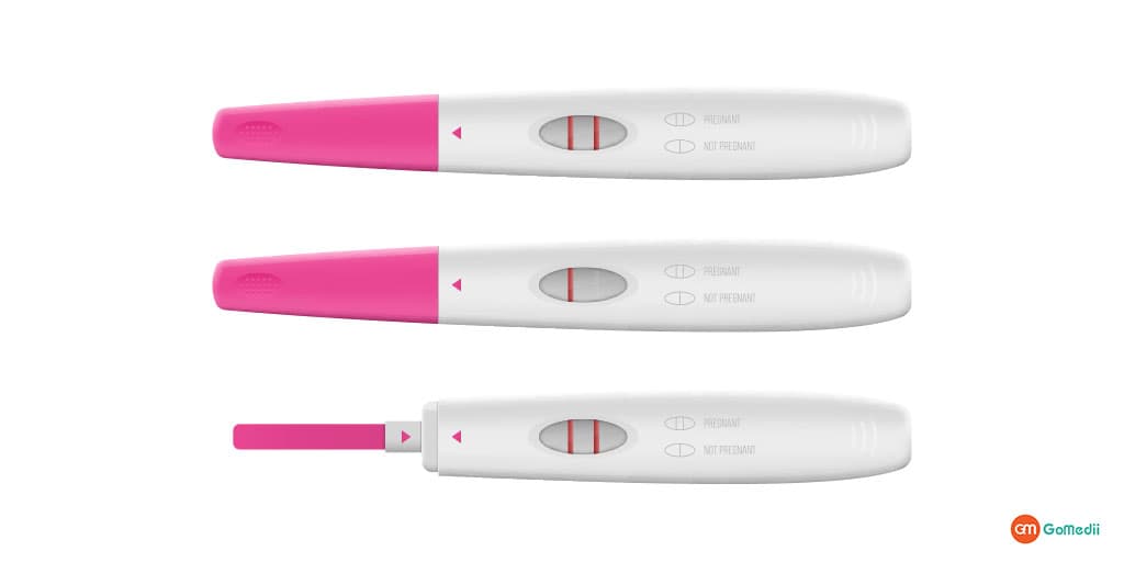 Image for Pregnancy Test Kit Manufacturing Plant Project Report 2025: Raw Materials, Investment Opportunities, Cost and Revenue with ID of: 6513954
