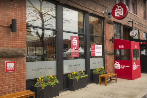 Image for West Loop Veterinary Care with ID of: 5823340