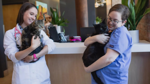 Image for West Loop Veterinary Care with ID of: 5823345